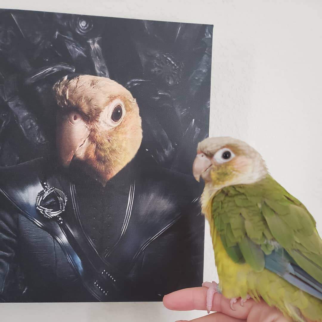 The Mother Of Dragons - Custom Pet Canvas