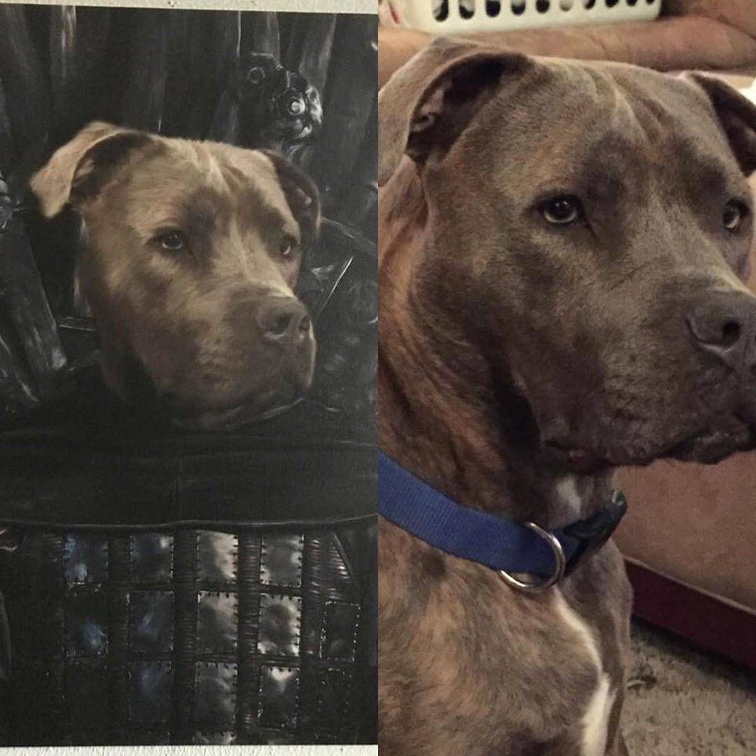 The Kingslayer - Custom Pet Canvas