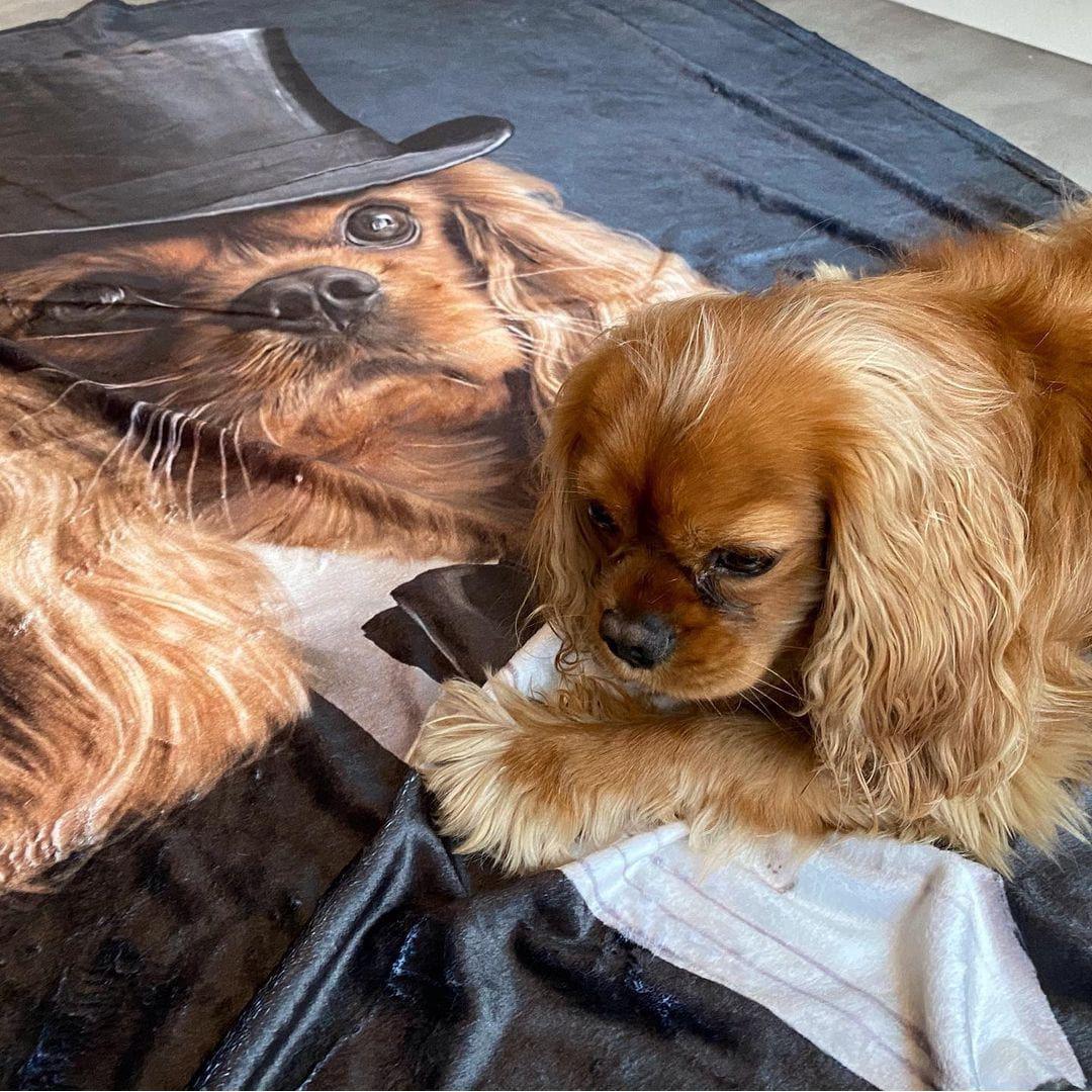 The Gentleman - Custom Pet Blanket