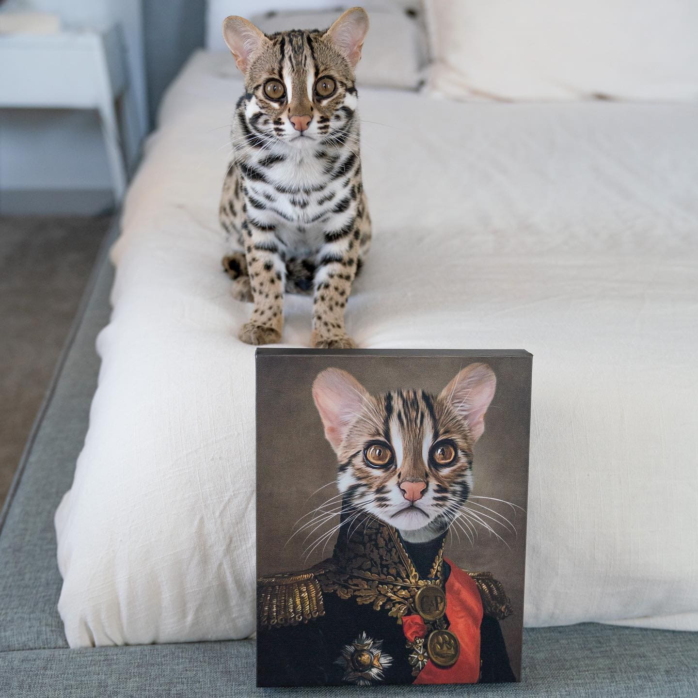 The Major - Custom Pet Canvas