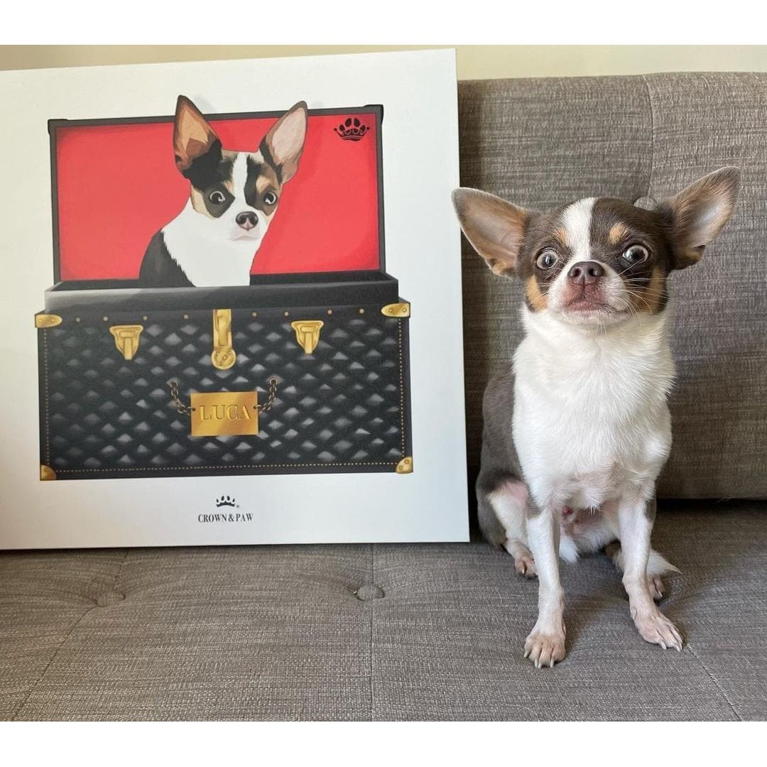 Black and Gold Luxury Trunk Pet Portrait