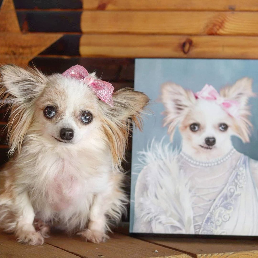 The Ballerina - Custom Pet Canvas