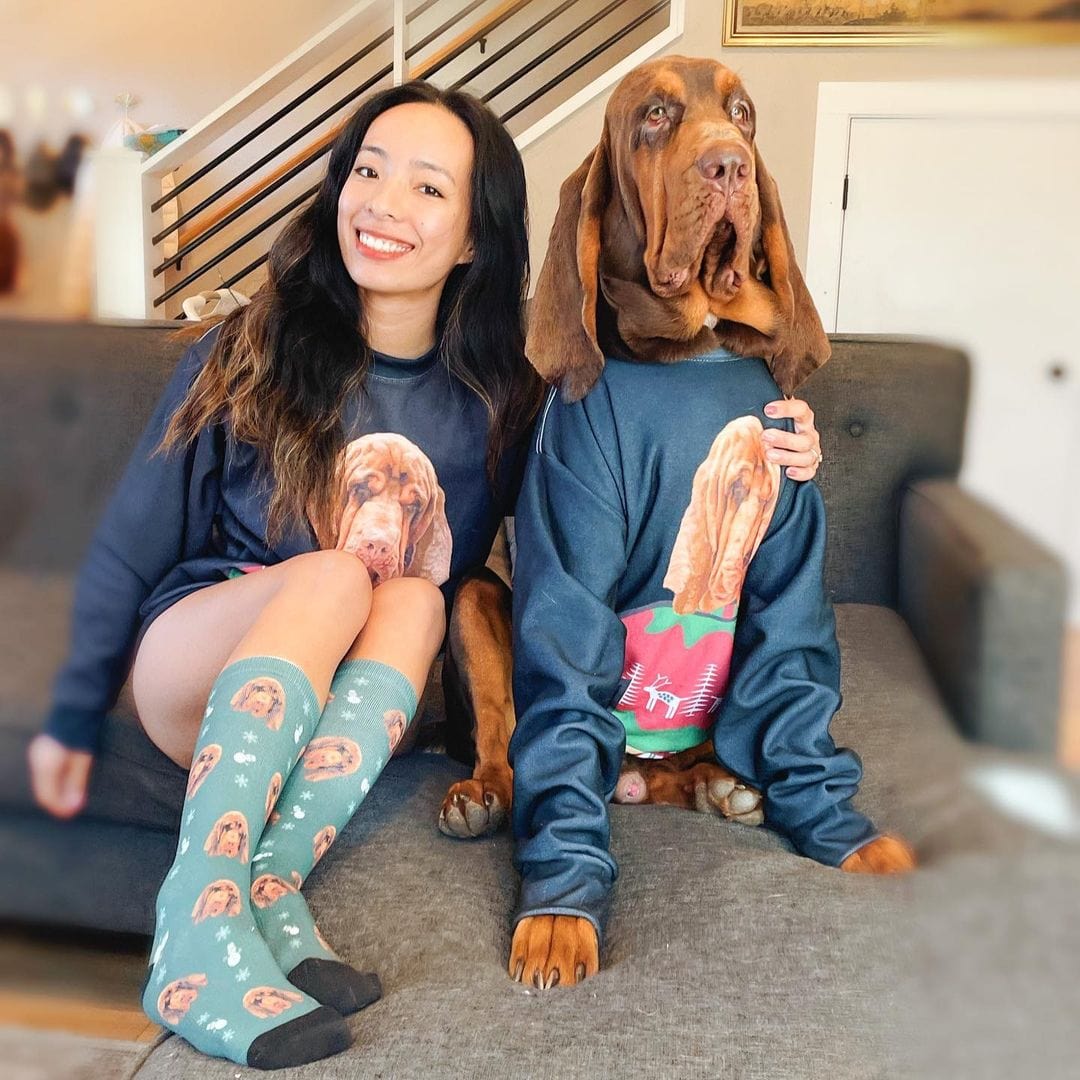 Custom Christmas Pet Face Socks