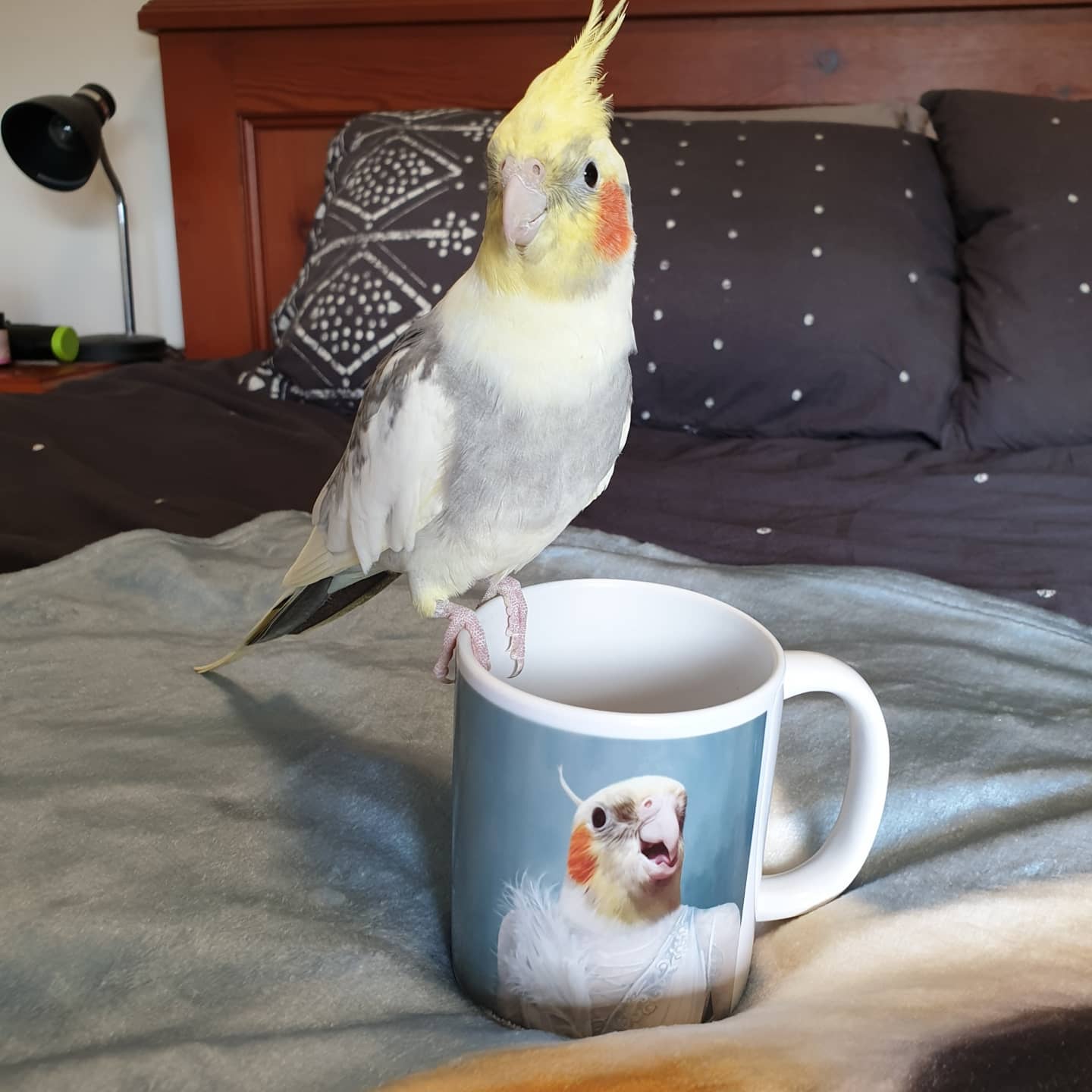 The Ballerina - Custom Mug