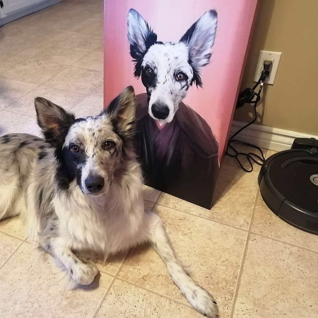 The Dark Side - Custom Pet Canvas