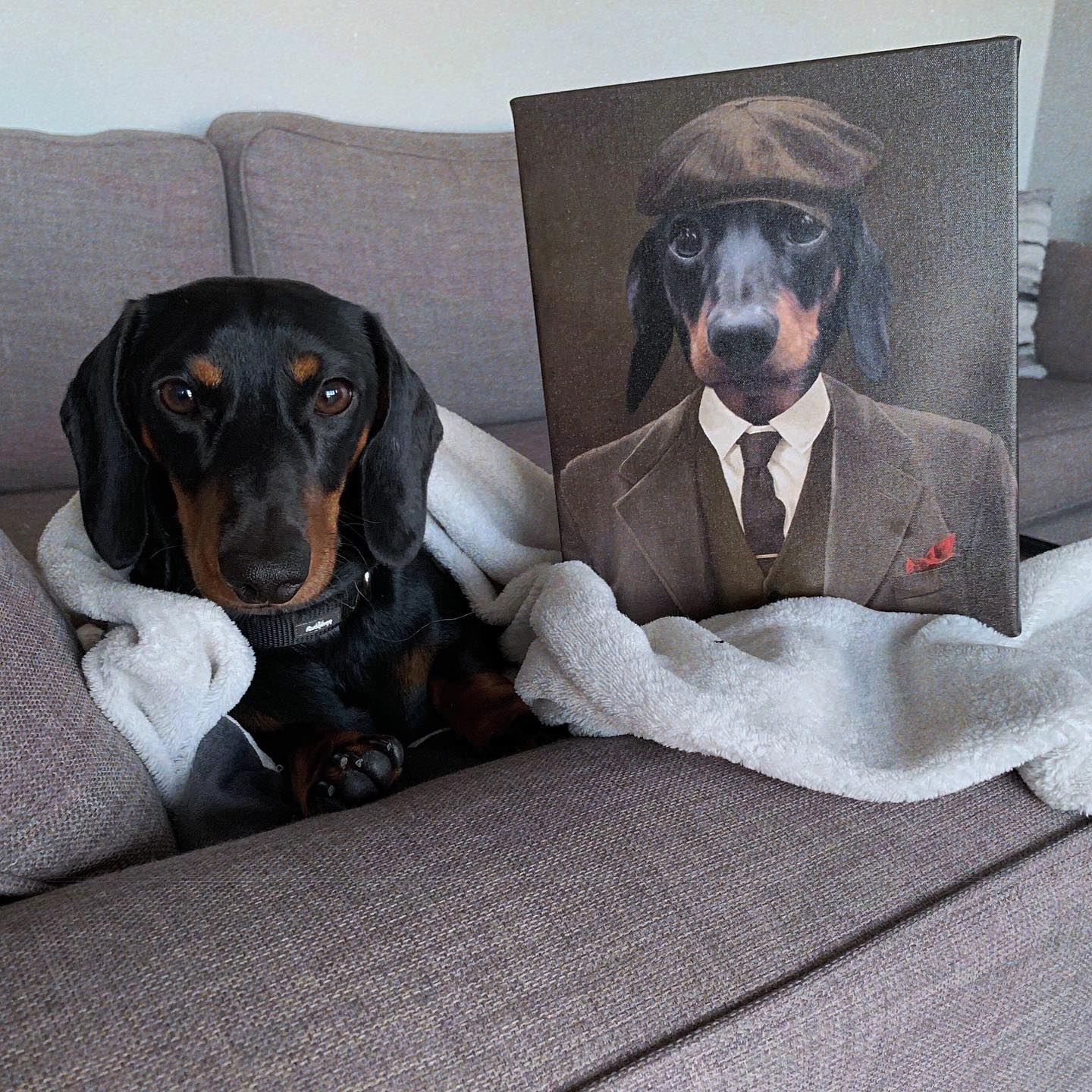 The British Gangster - Custom Pet Canvas