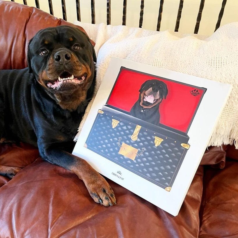 Black and Gold Luxury Trunk Pet Portrait