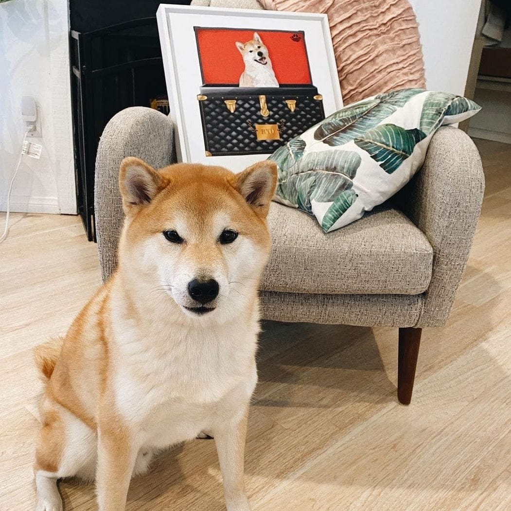 Black and Gold Luxury Trunk Pet Portrait