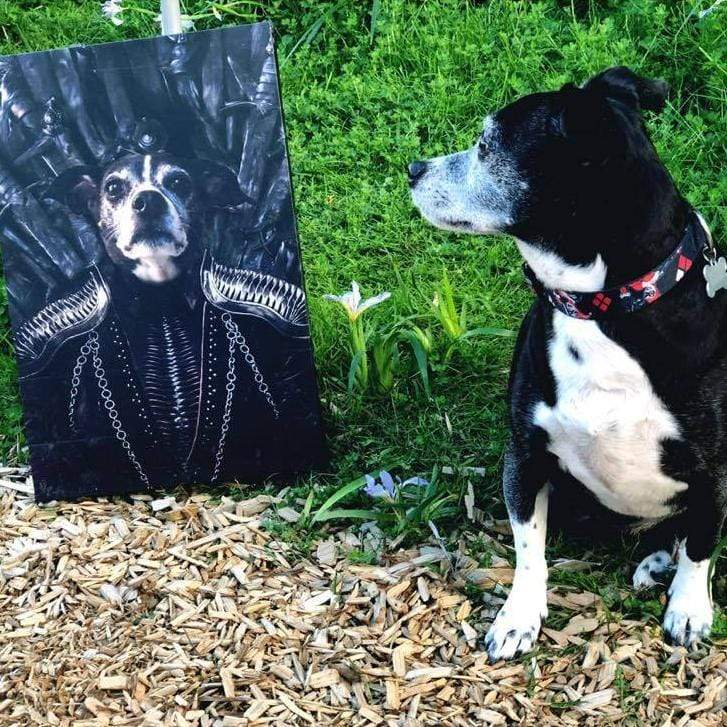 The Queen of the Seven Kingdoms - Custom Pet Canvas