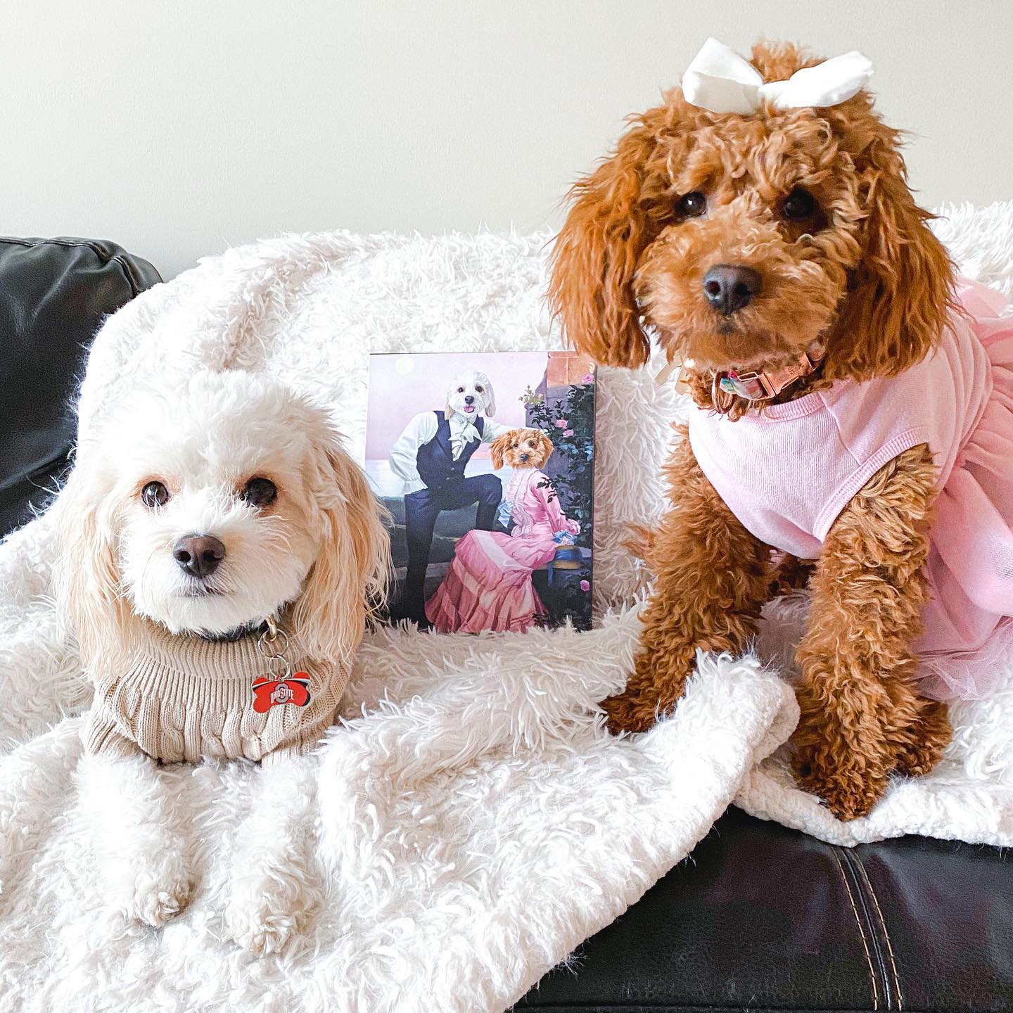 The Smooth Talkers - Custom Pet Canvas