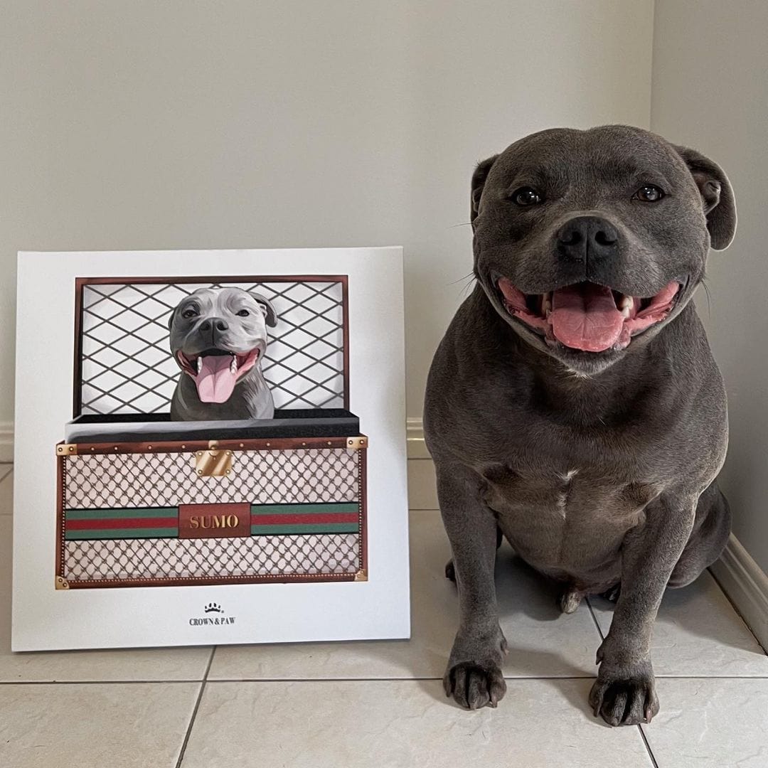 Boujee Luxury Trunk Pet Portrait