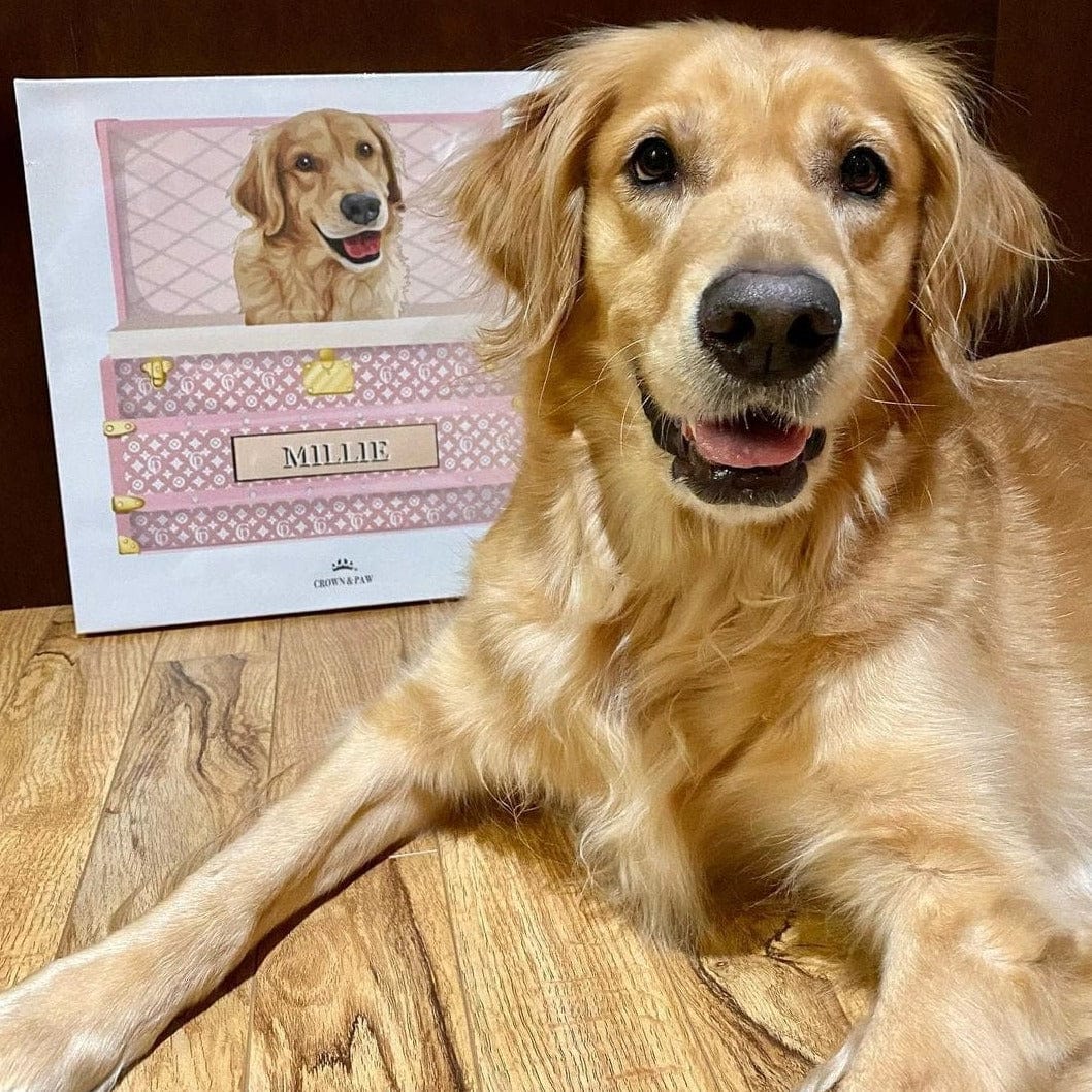 Bubblegum Pink Luxury Trunk Pet Portrait