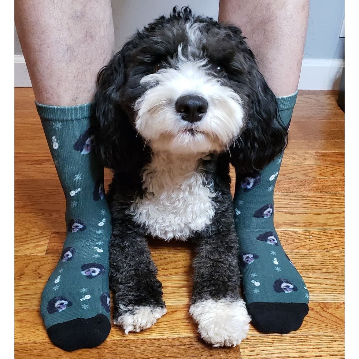 Custom Christmas Pet Face Socks