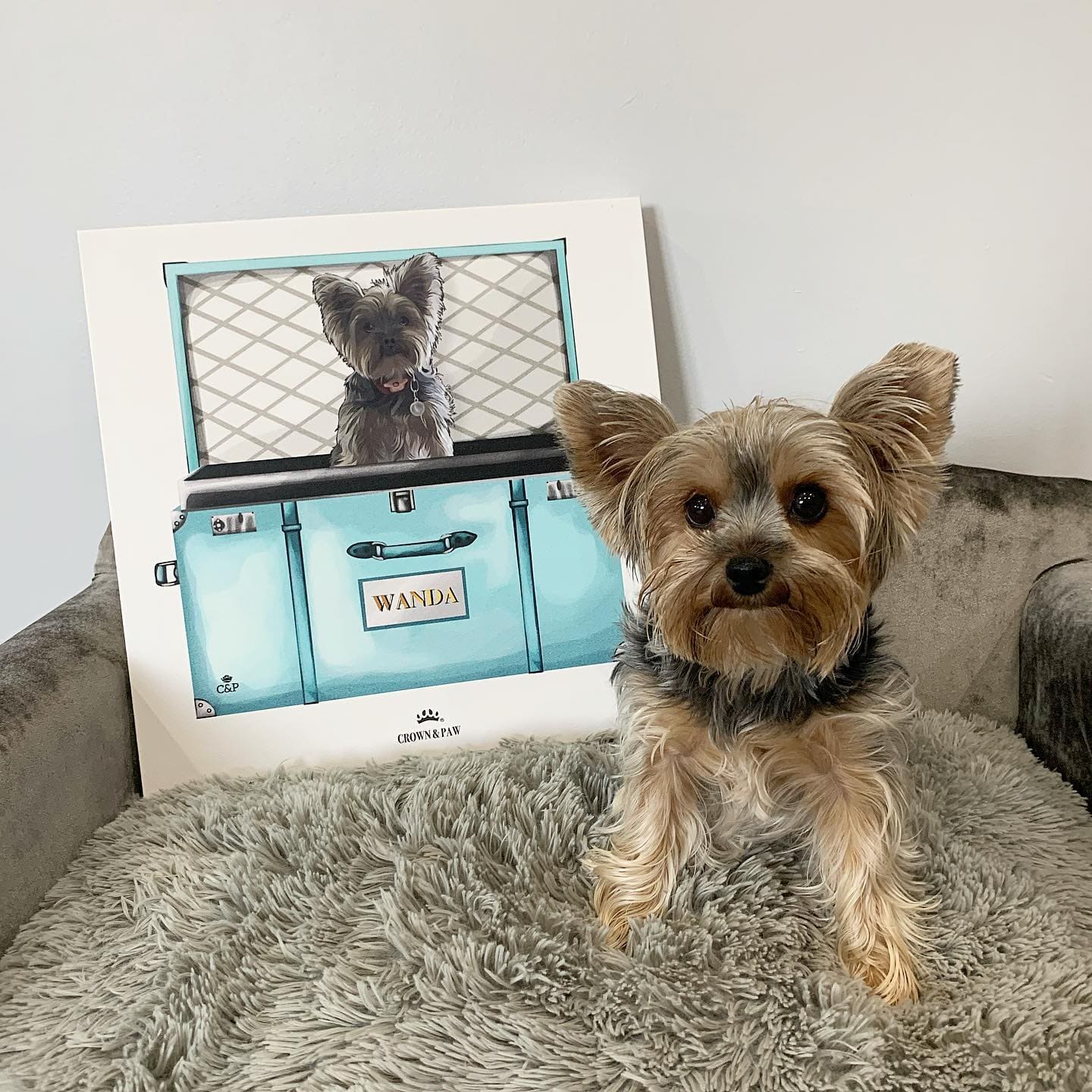 Baby Blue Luxury Trunk Pet Portrait