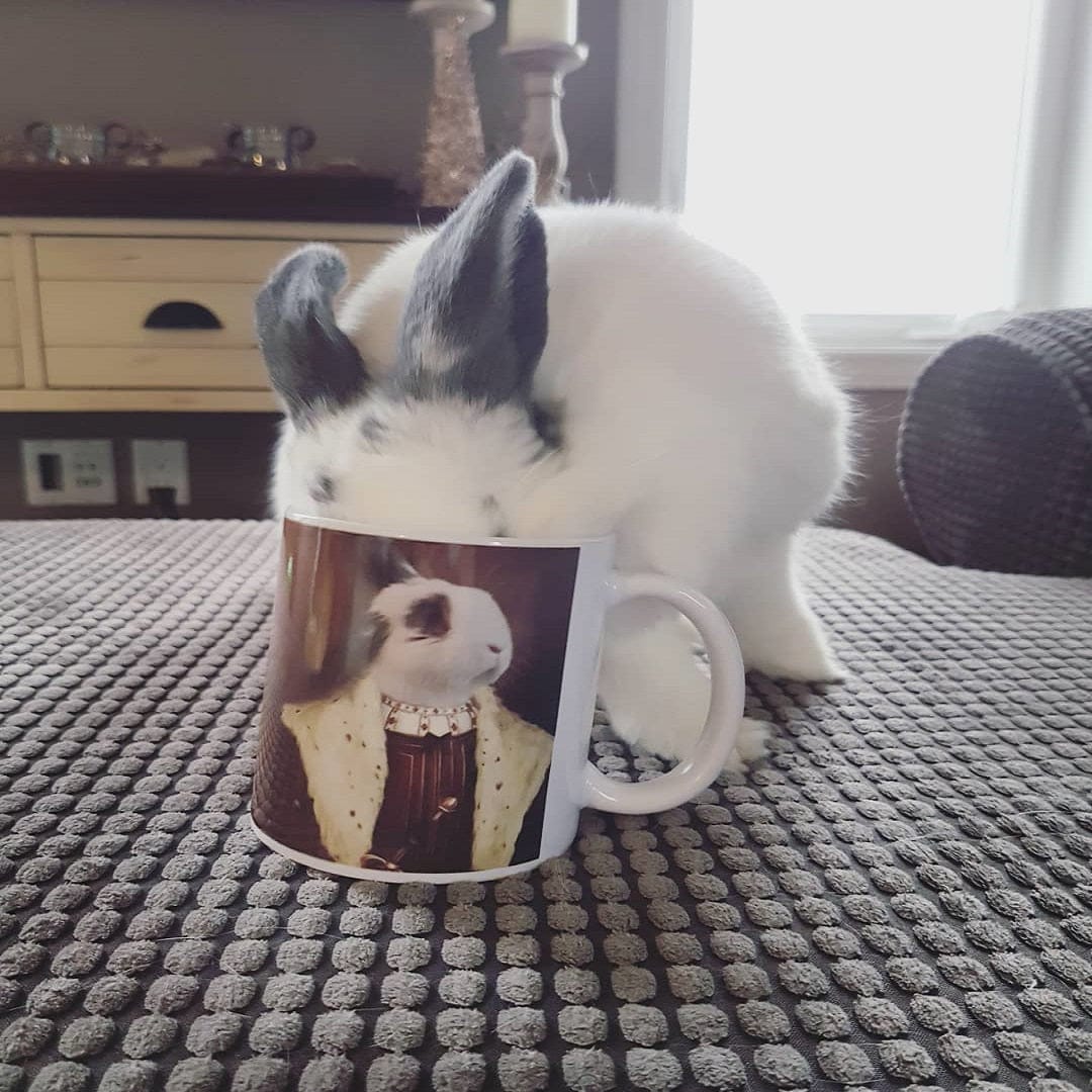 The Young King - Custom Mug