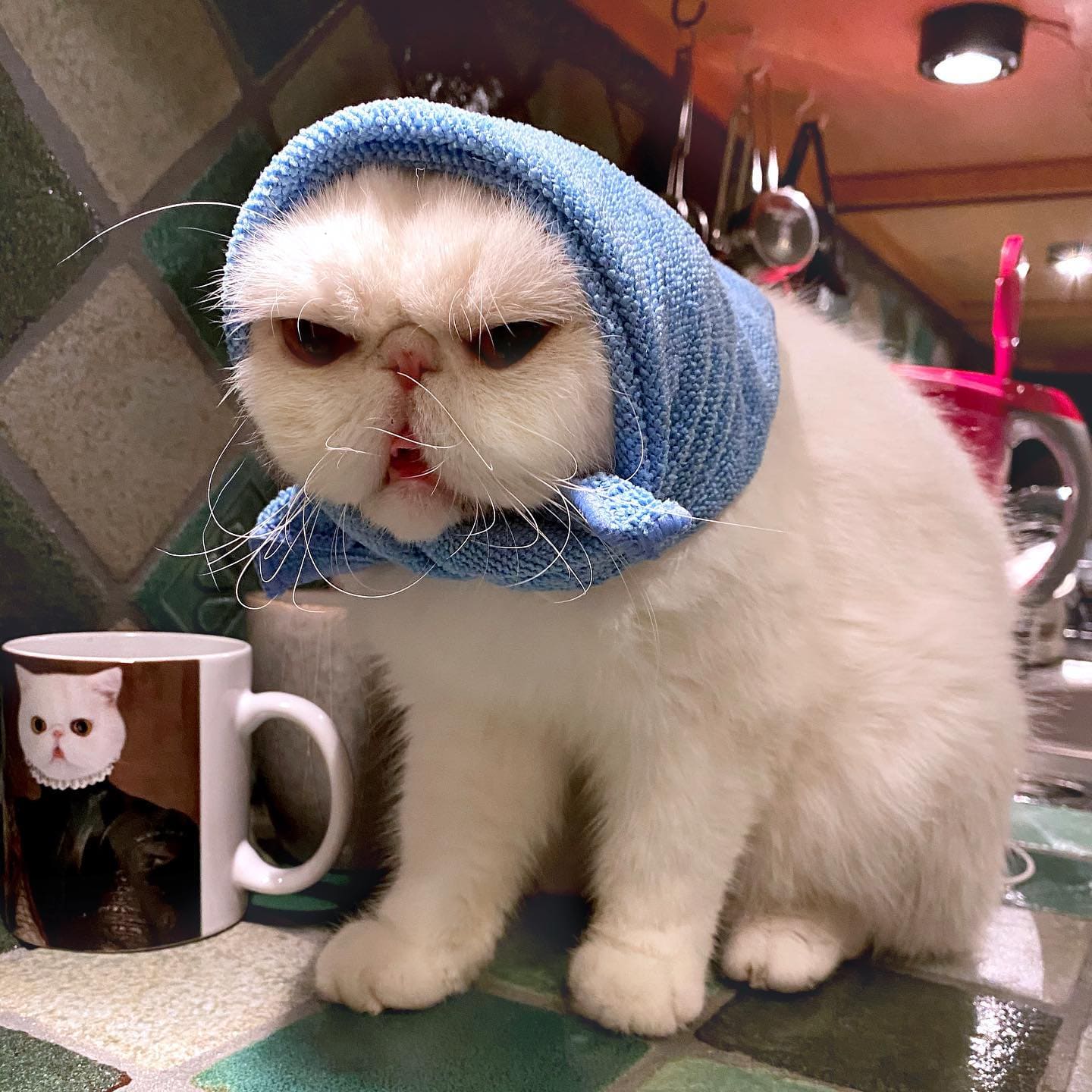 The Classy Couple - Custom Mug