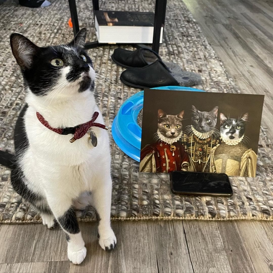 The Three Queens - Custom Pet Canvas