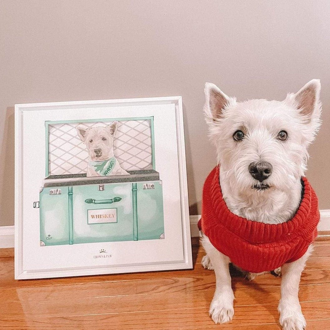 Baby Blue Luxury Trunk Pet Portrait