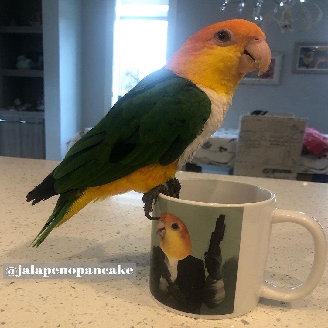 The Rebel - Custom Mug