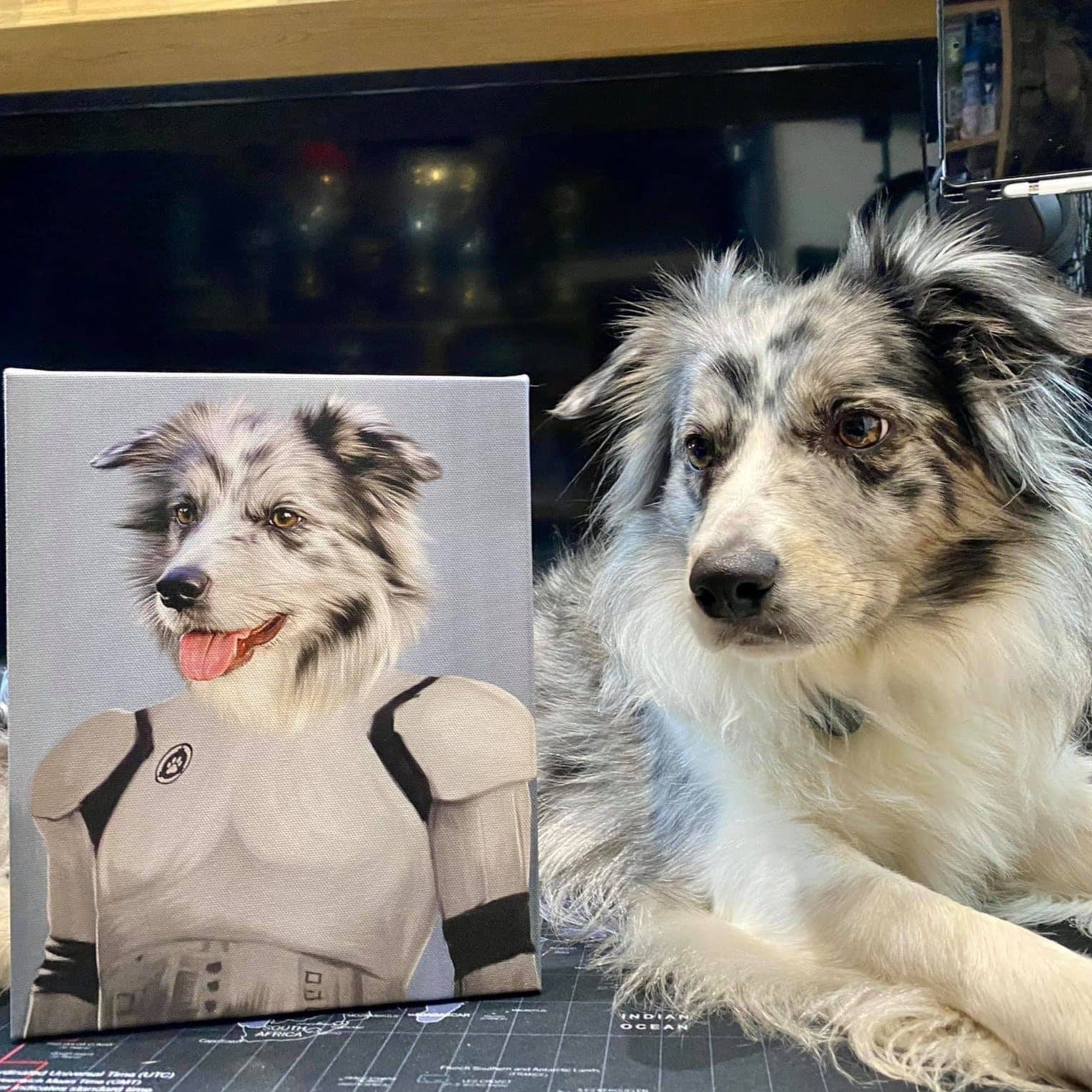 The Trooper - Custom Pet Canvas