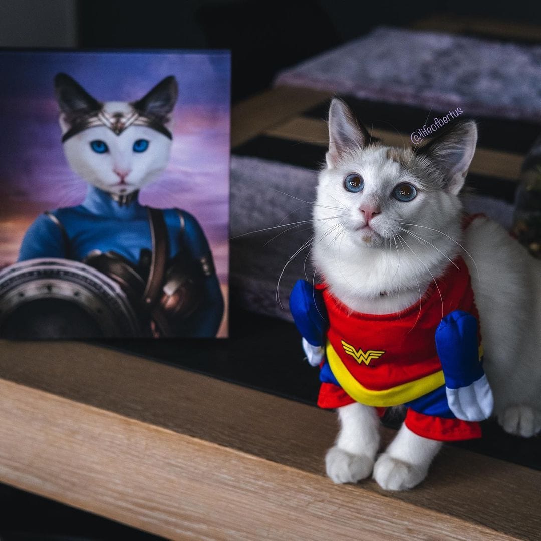 The Super Princess - Custom Pet Canvas