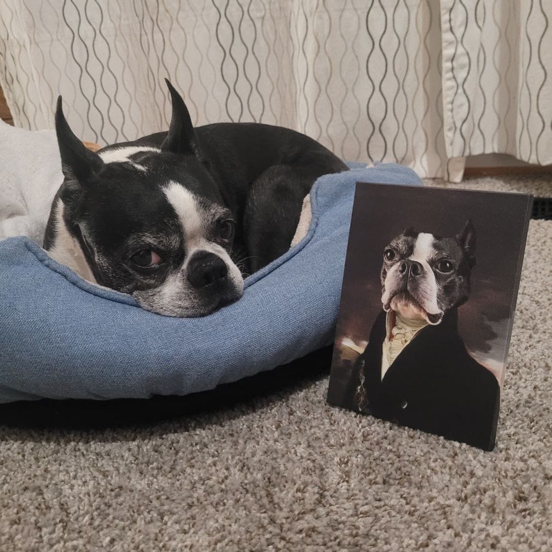 The Count - Custom Pet Canvas