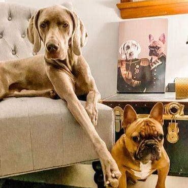 The Brothers In Arms - Custom Pet Canvas