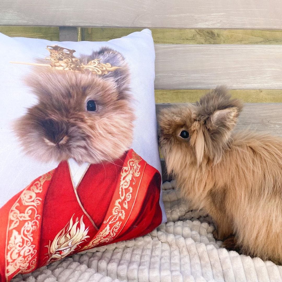 The Asian Emperor - Custom Throw Pillow