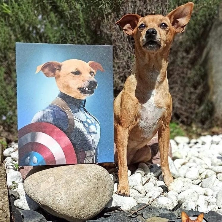 Captain Pawmerica - Custom Pet Canvas
