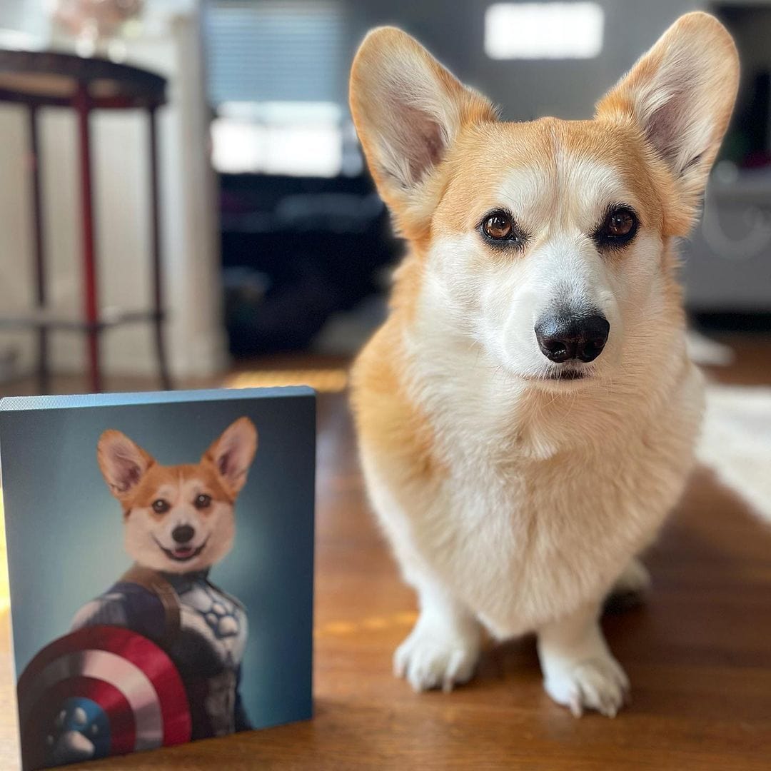 Captain Pawmerica - Custom Pet Canvas