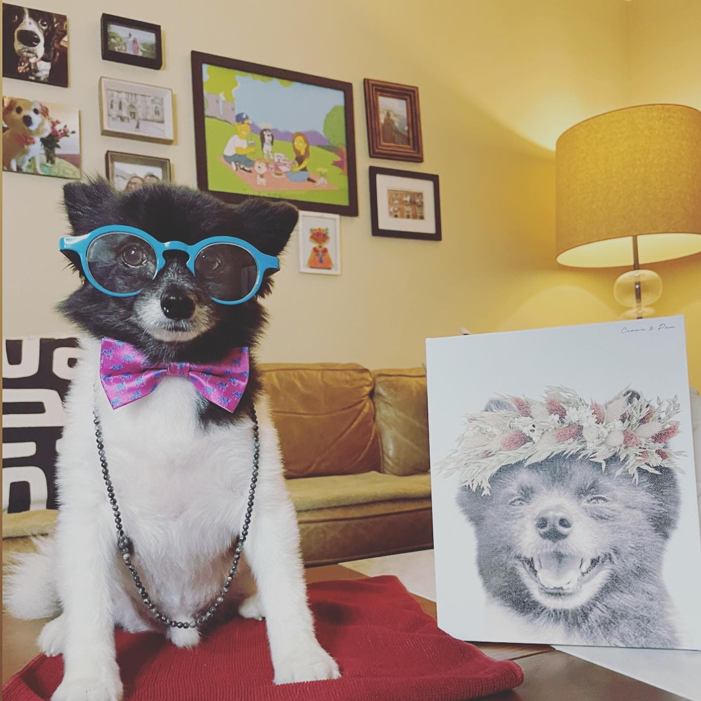 Royal and Paws - Canvas Foliage Pet Portrait - Custom Canvas 8" x 10" / White