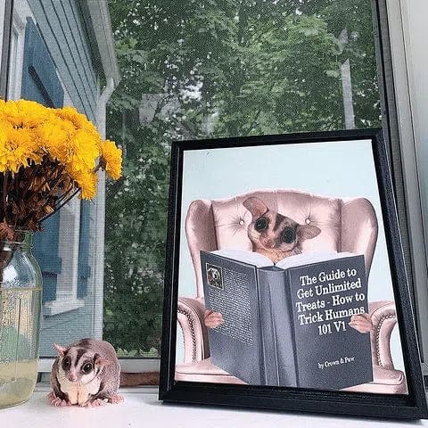 Custom Pet Reading a Book Portrait - Framed Poster