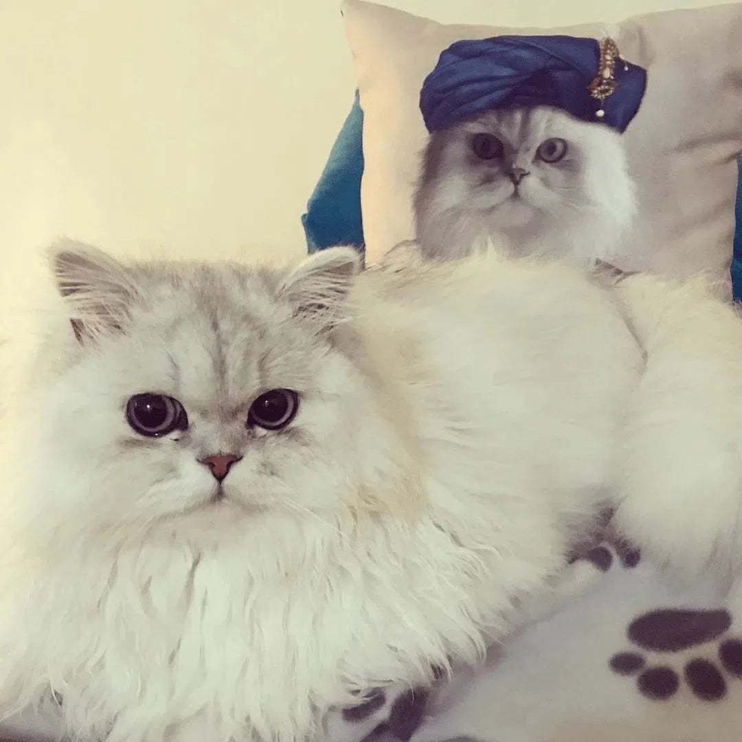 The Persian Prince - Custom Throw Pillow