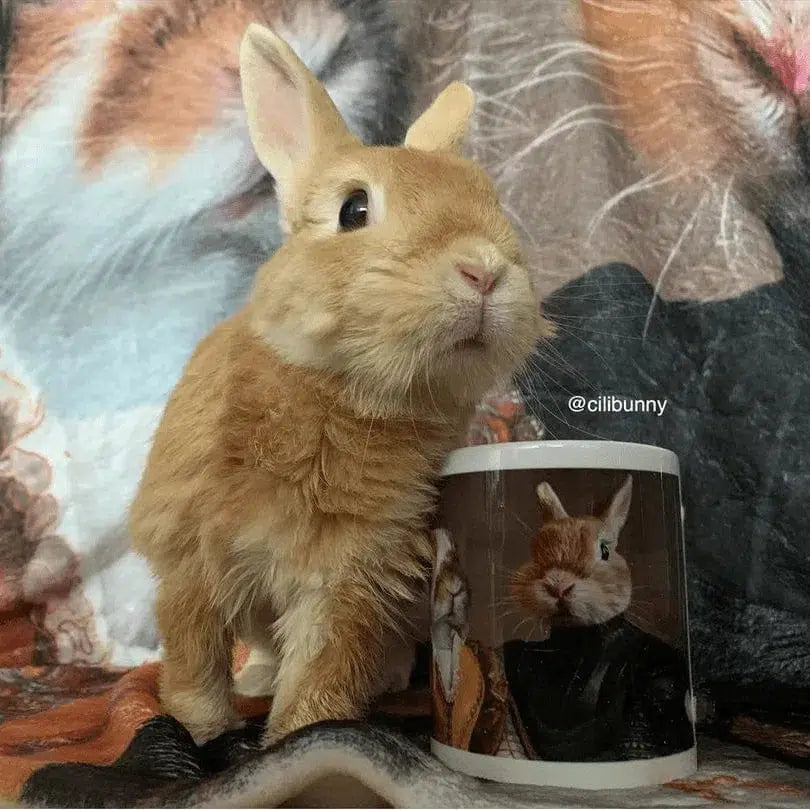 The Classy Couple - Custom Mug