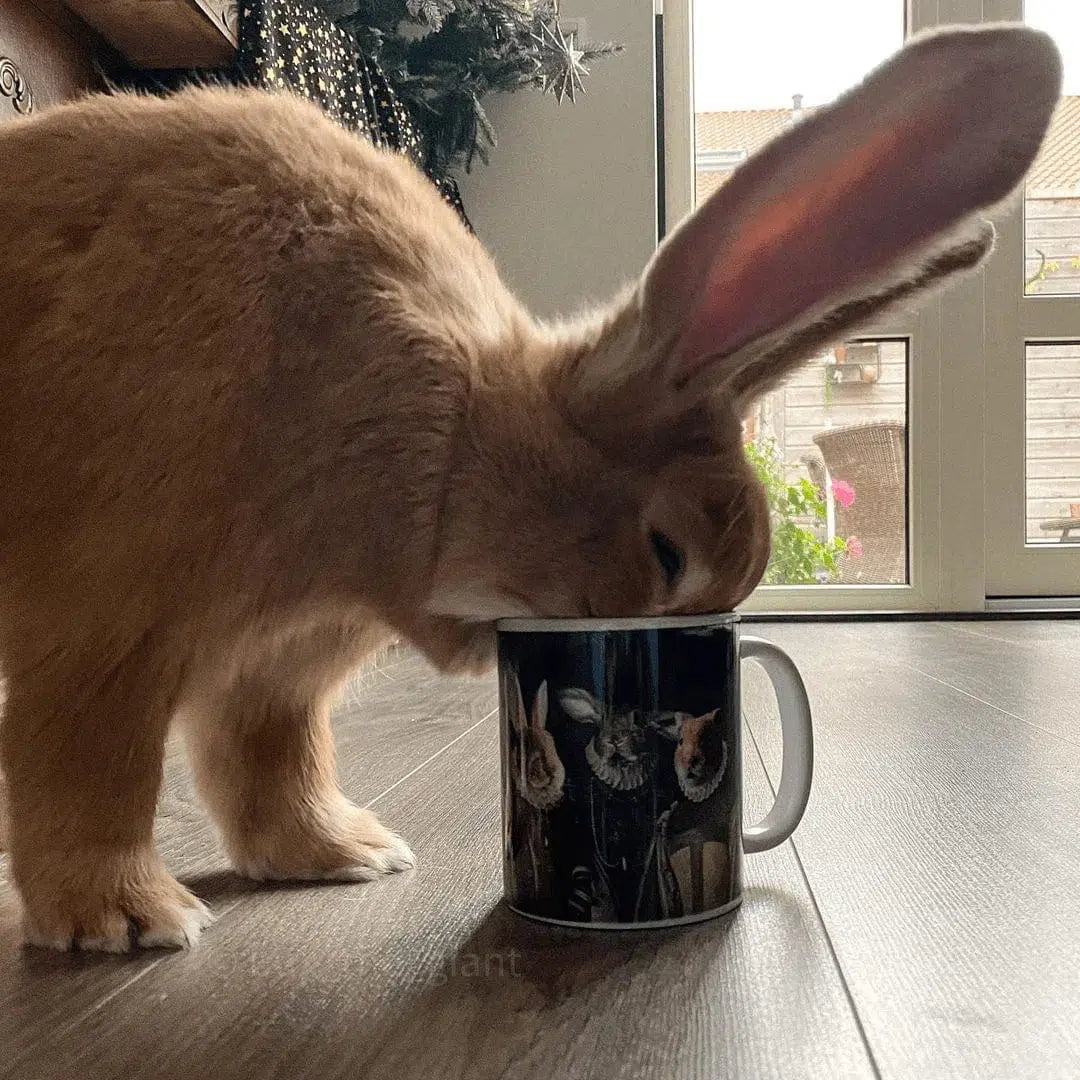 The Three Queens - Custom Mug