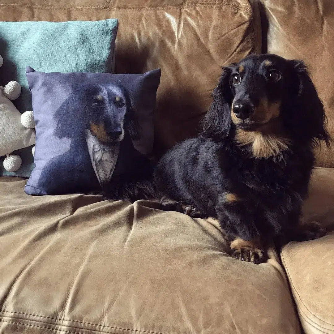 The Aristocrat - Custom Throw Pillow