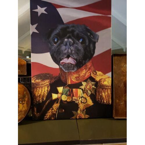 The Veteran - USA Flag Edition - Custom Pet Canvas