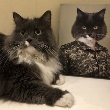 The Army Woman - Custom Pet Canvas