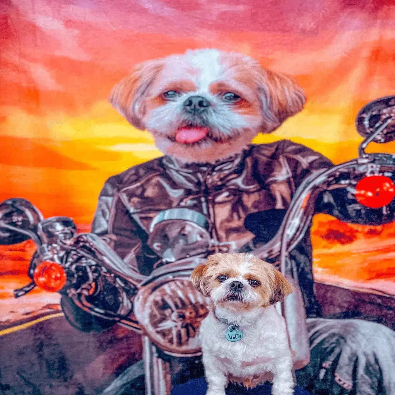 The Biker - Custom Pet Blanket