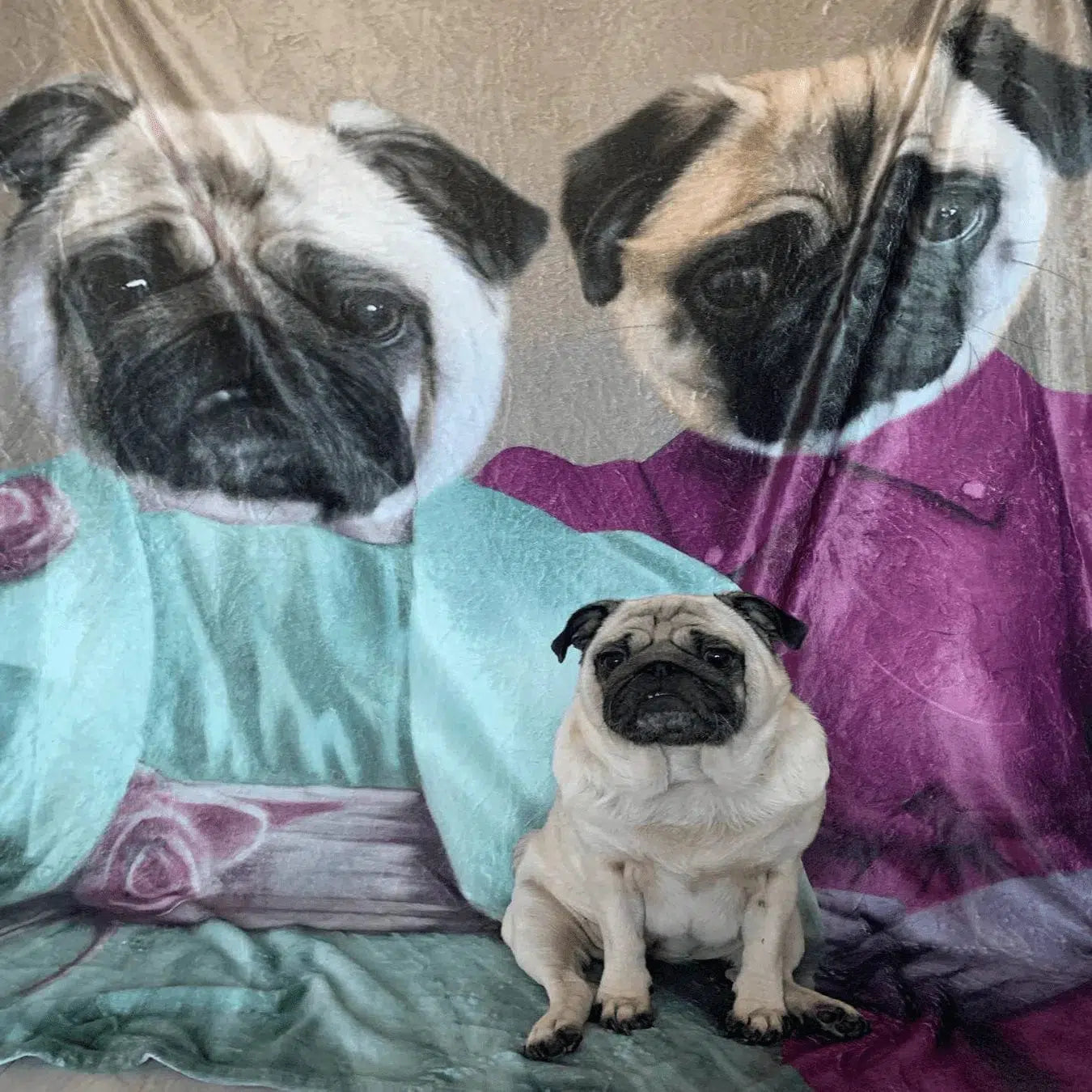 The Sisters - Custom Pet Blanket