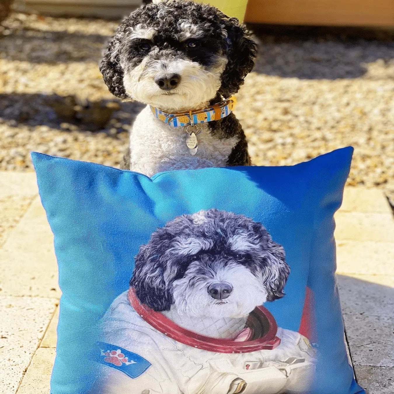 The Astronaut - Custom Throw Pillow