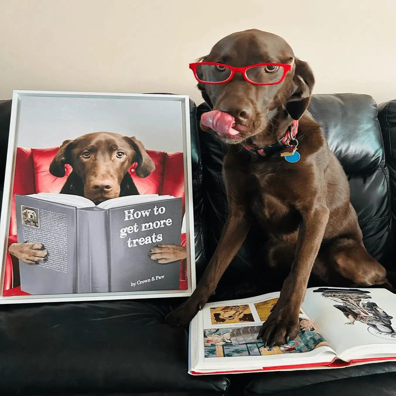 Custom Pet Reading a Book Portrait - Framed Poster