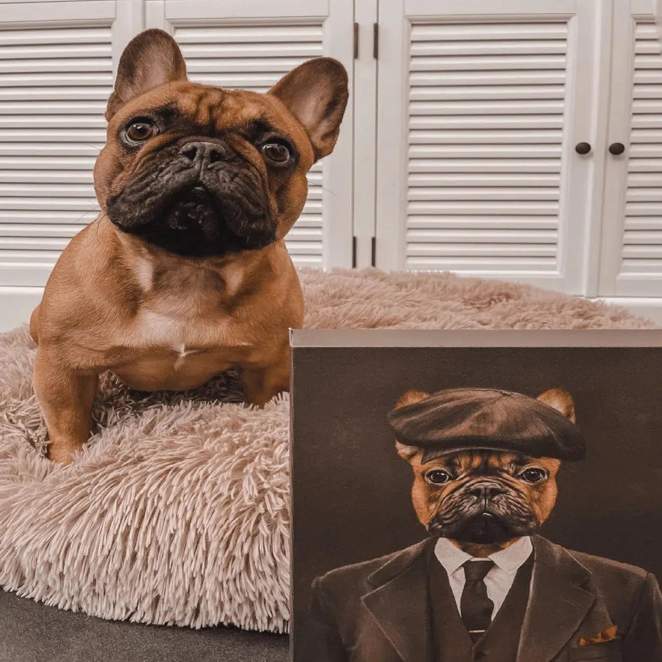 The British Gangster - Custom Pet Canvas