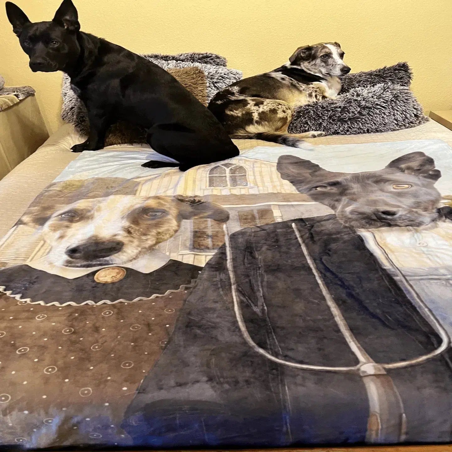 The American Gothic - Custom Pet Blanket