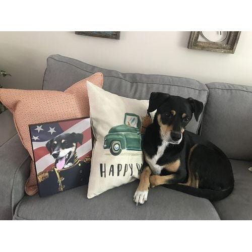 The Admiral - USA Flag Edition - Custom Pet Canvas