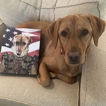 The Dame - USA Flag Edition - Custom Pet Canvas