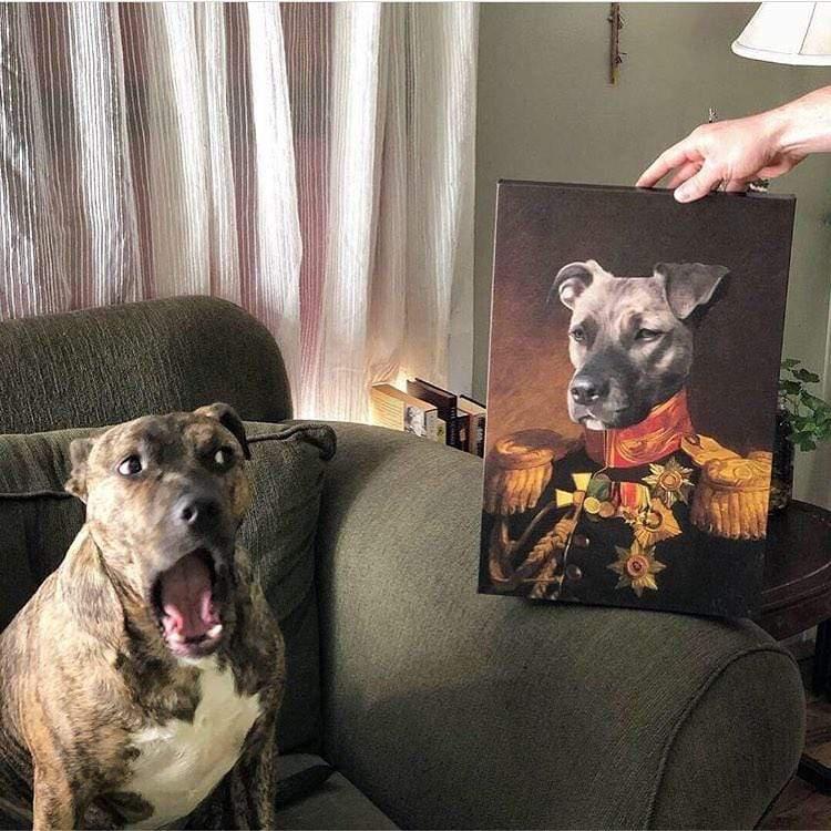 The Veteran - Custom Pet Canvas