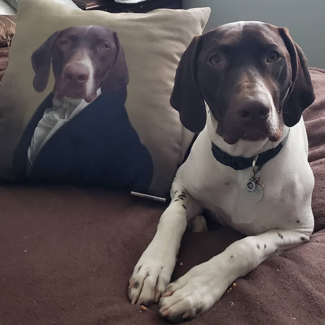 The Ambassador - Custom Throw Pillow