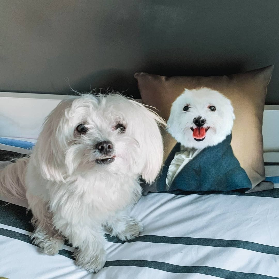 The Ambassador - Custom Throw Pillow