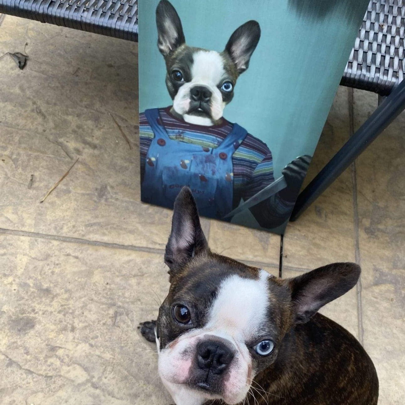 Custom Royal and Paws Halloween Pet Portrait